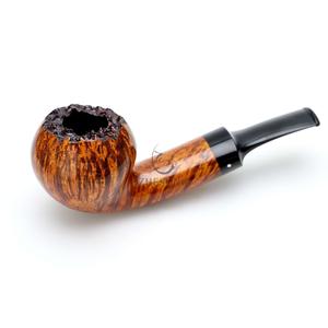 25-08|橡果|Acorn